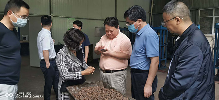 湖北山茶油廠家