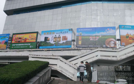 “茂森緣”山茶油第18屆荊楚糧油“精品金獎” 湖北有機山茶油