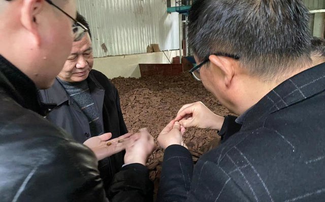 2022年3月25日人大和林業(yè)局武局長一行來我司視察