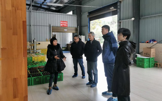 2021年12月28日中南民大教授、州發(fā)改委領(lǐng)導(dǎo)到廠里視察