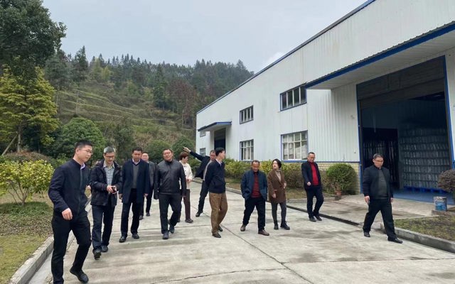 2023年3月7日省林業(yè)局黨組書記、局長王昌友一行到來鳳調研